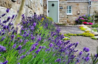 Underhill Holiday Cottage - Photo 14
