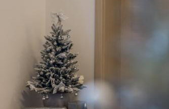 Apartment FORTUNA - Photo 39
