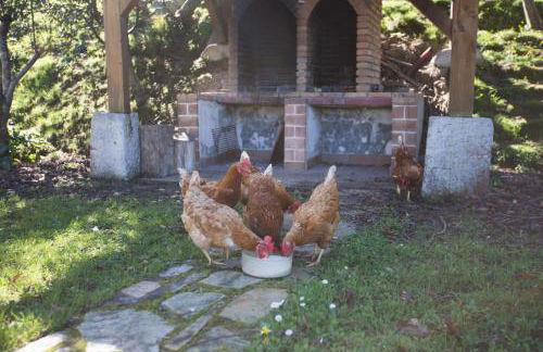 Casa Rural Andutza - Foto 54