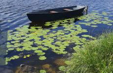 Ferienhaus Mayr - Ferienwohnung Bergblick - Foto 18