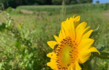 Ferienwohnung Schwarzwaldnest - Foto 40