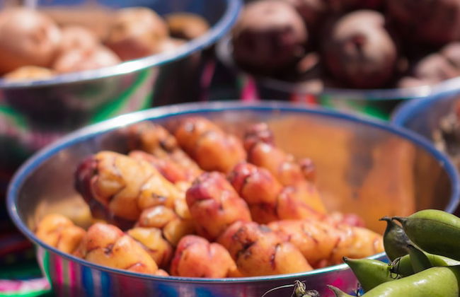 SKY DOME PERU - Foto 23