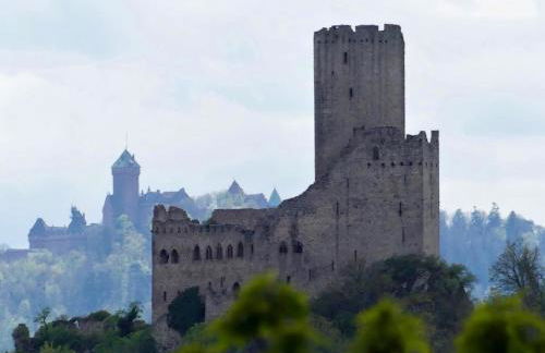 Gite Au sauna de l’Aubach - Foto 36
