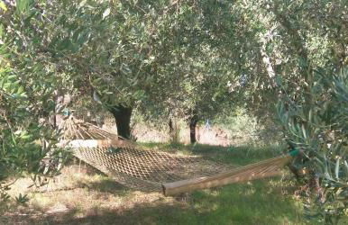 Villa Emma-Toscanaparadiso - Foto 34