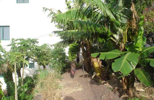 Goyo Gomera Apartments - Foto 73