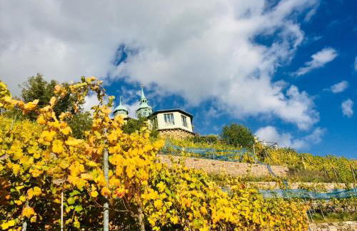 Ferienwohnung Villa Grützner - Photo 58