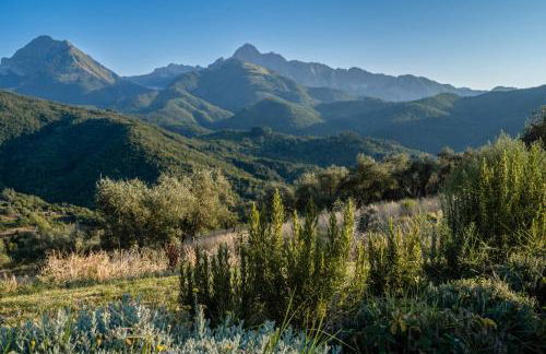 Case Apuane - Foto 19