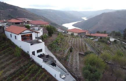Grande Vista Douro - Foto 23