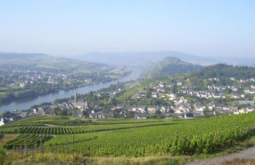 Ferienwohnung Panoramablick - Foto 15