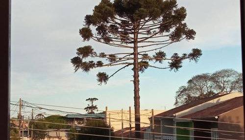 Aconchego Rio - São José dos Pinhais - Foto 2