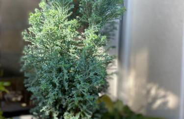 L'échappée créative - Foto 34