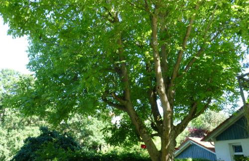 Apartment Reitz by Interhome - Foto 30