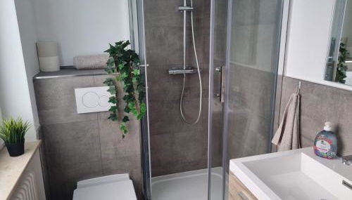 Cozy Studio-Apartment in Hattersheim - Foto 5, towels, Shower