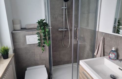 Cozy Studio-Apartment in Hattersheim - Foto 5