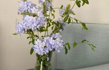 Villa with a big garden and heated pool - Photo 32