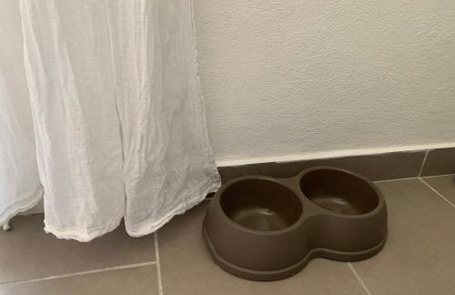 La Pavoncella - Foto 16