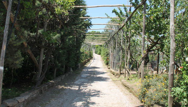 Agriturismo Piccolo Paradiso - Foto 4