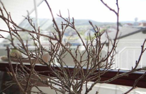 Ferienwohnung Haida - Foto 11