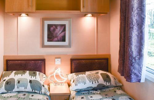 Bryn Bychan - Foto 14