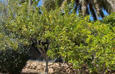 Villa Baladrar - Foto 30