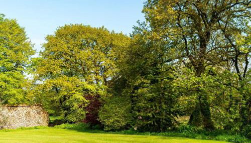 Chalet Lodge 5 by Interhome - Foto 4