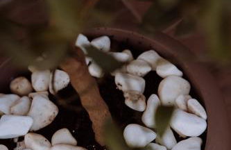 Elounda Τheros - Foto 70