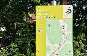 Charaktervolle 122qm Altbau-Ferienwohnung mit Stuck, viel Platz für Familien & Gruppen bis zu 8 Personen, Parkplatz inklusive - Foto 80