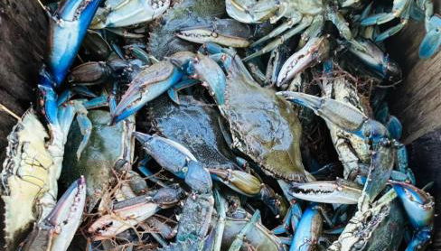 Beautiful Paradise for You - Foto 5