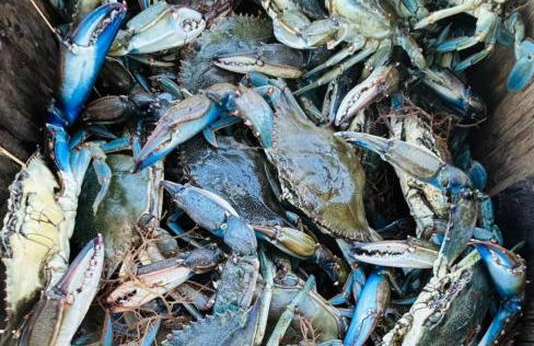 Beautiful Paradise for You - Foto 5