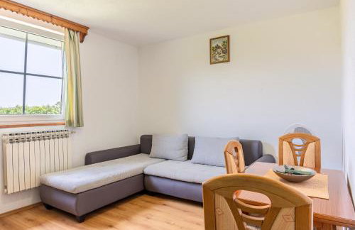 Apartments Ždravac - Photo 43