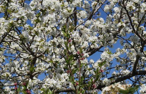 Lou pichoun studio au coeur d'un village provençal - Foto 29