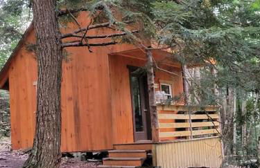 Vana Kuti-cabin in the woods - Foto 9