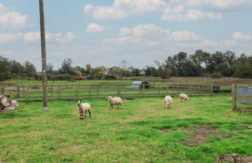 Duke Cottage - Foto 31