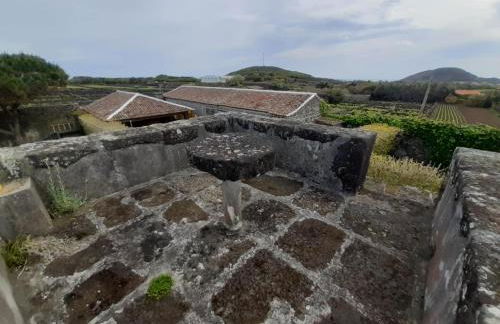 O Pomar do Gasparinho - Foto 38