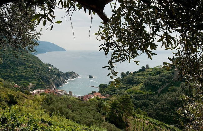 Agriturismo Buranco - Foto 35