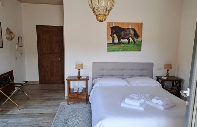 Family Farm Soc. Agricola - Agriturismo - Foto 7