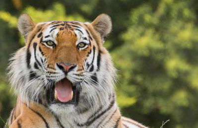 Serene Riverside: 6BR Luxury Retreat in Curdridge - Photo 104