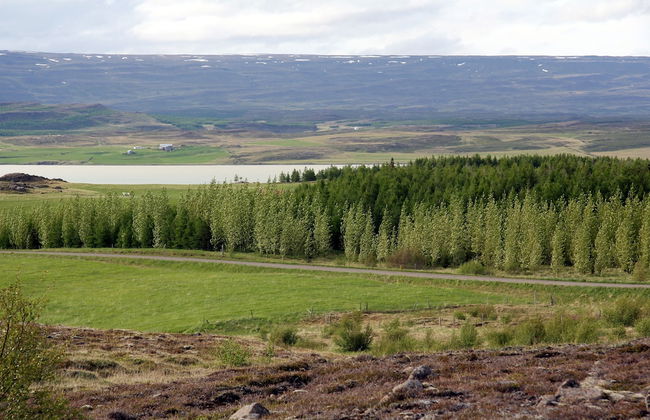 Skarðás Country Cabins - Foto 27