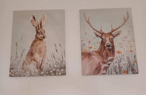 Jedid Kings Heath Apartment - Foto 16