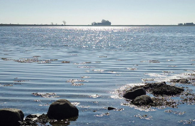 4 Person Holiday Home in Odder - Foto 9