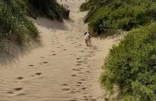 Ocean Drive BOUTIQUE Apartment Adults only Dog friendly - Foto 14