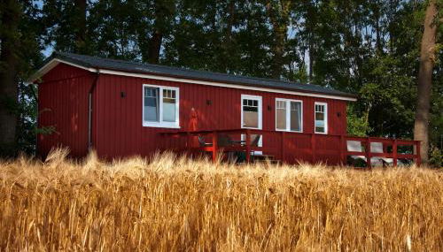 Erlebnishof Katthusen - Photo 5