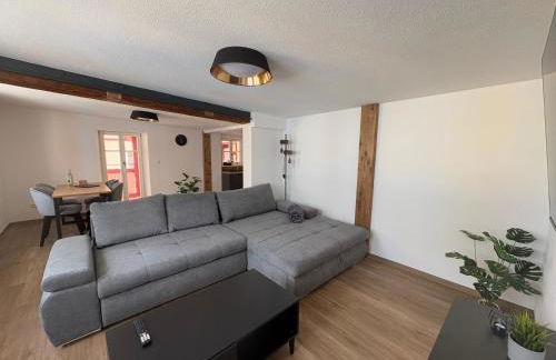 Apartmenthaus Alte Scheune Gunzenhausen - Foto 20