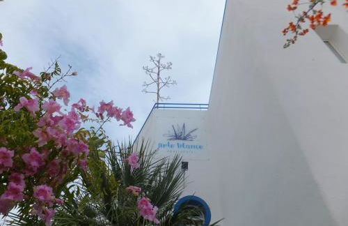 Arto Blanco - Foto 66