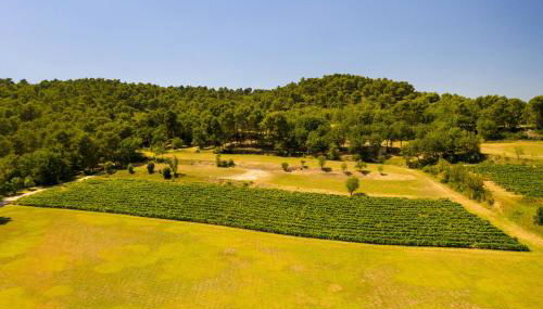 Le Mas Sérénité - Foto 4, Garden