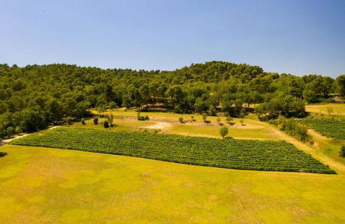 Le Mas Sérénité - Foto 4