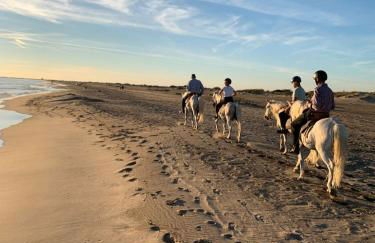 Studio neuf Garance 35 m2 Salin de Giraud - Foto 18