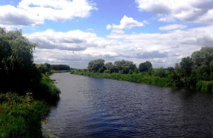 Apartamenty Sawino 4 - Foto 29