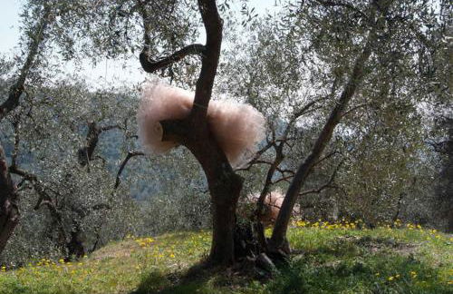 Ferienhaus in Vasia Imperia für bis zu 4 Personen - Foto 7