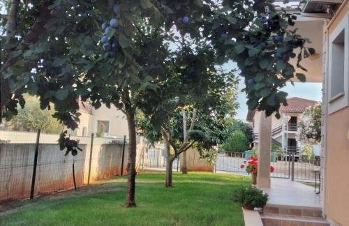 Maria&Beppi - Photo 34